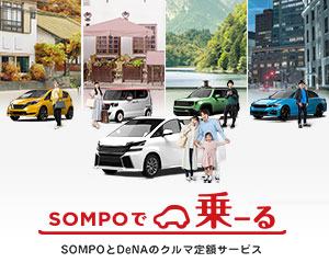 SOMPOで乗る詳細